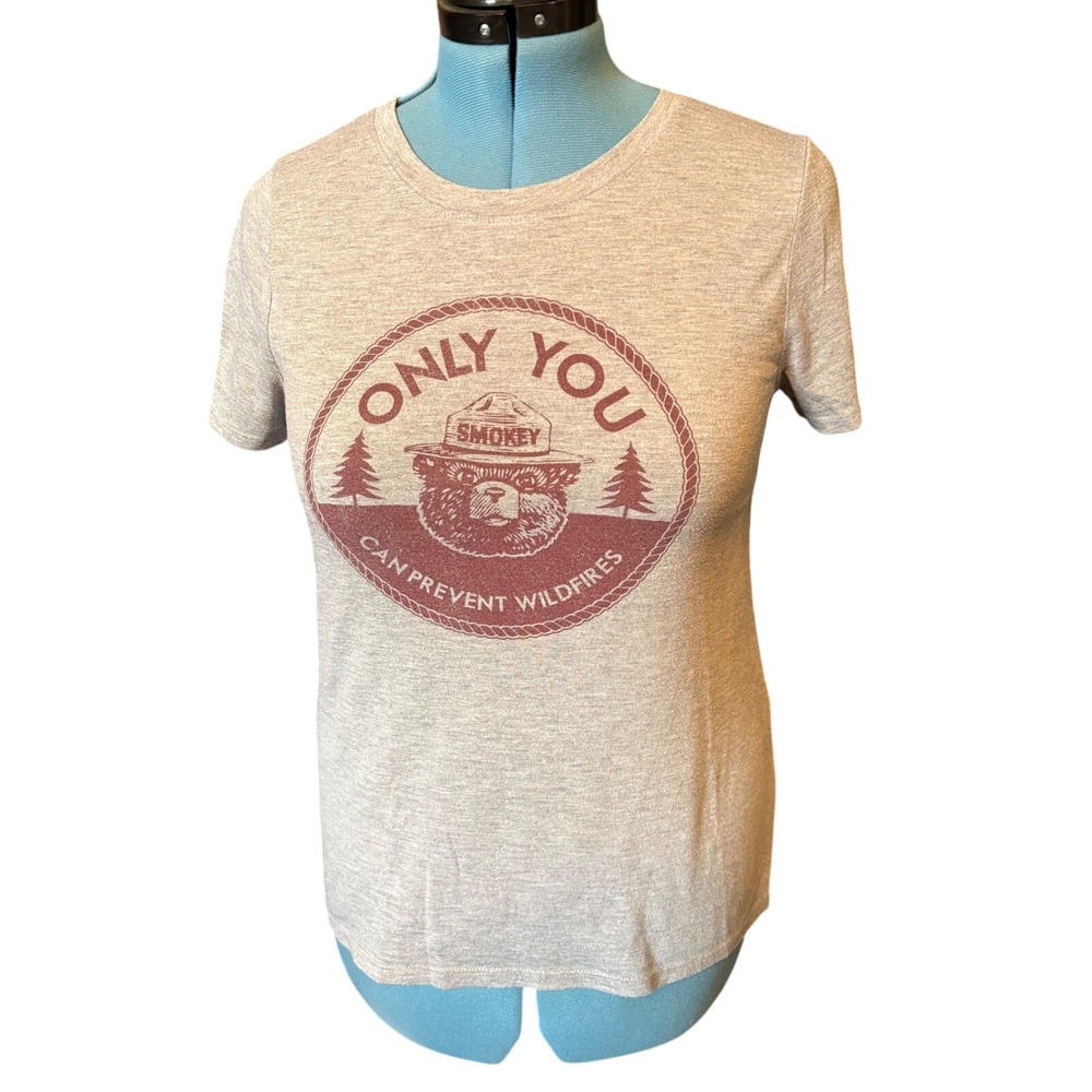 Smokey Bear Only You Can Prevent Wildfires Graphic Tee Gray Large J111112B